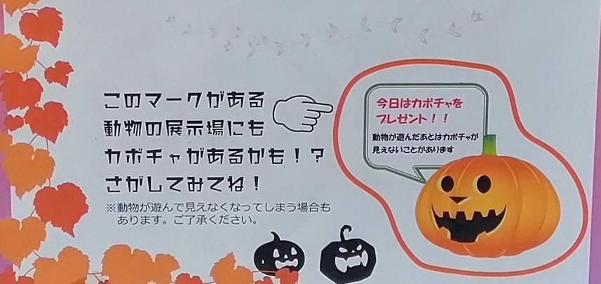 大盛況!!ハロウィン特別ガイドのご報告!①.jpg