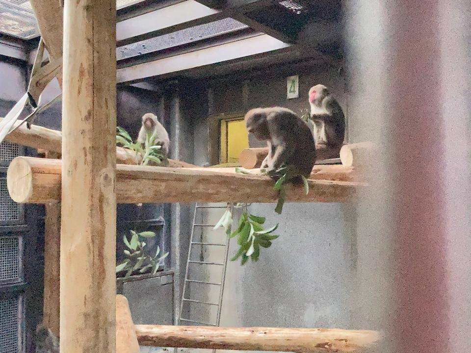 寝室も! リニューアルしました‼5.jpg