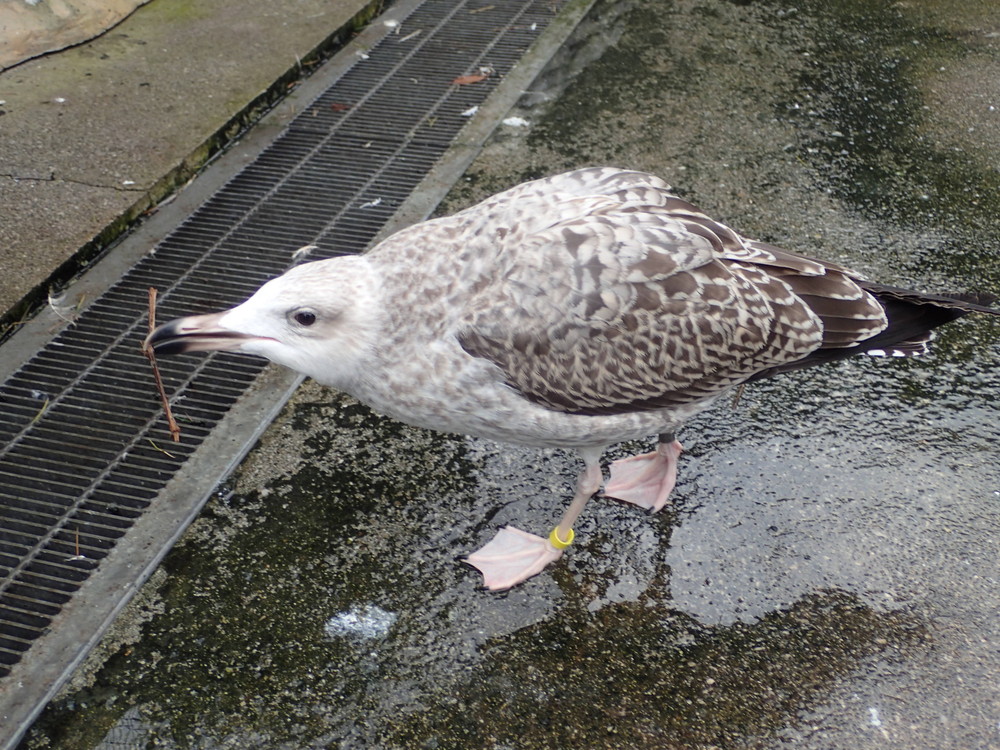 PB151611.jpg