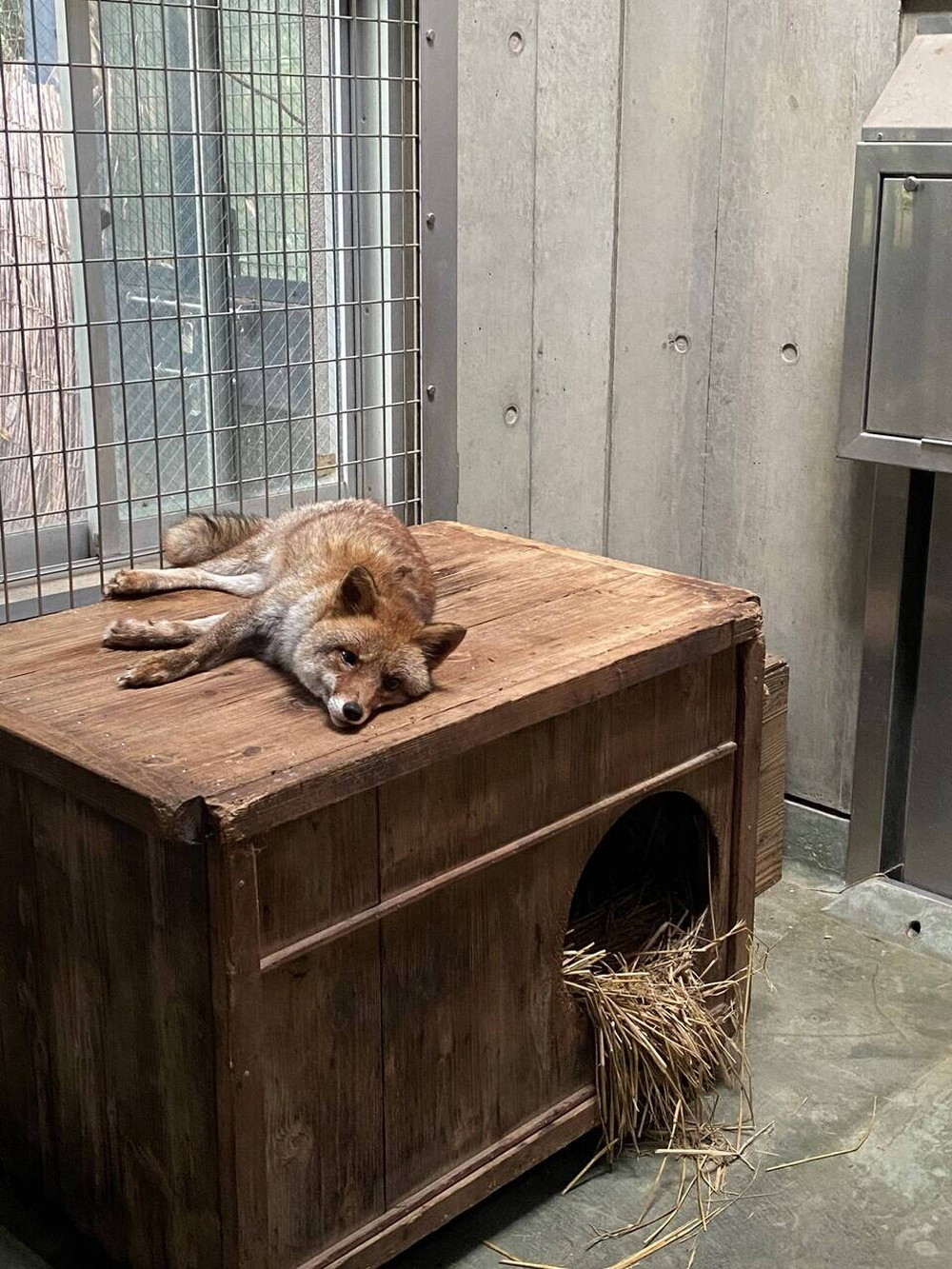 暑い コウシロウ.jpg