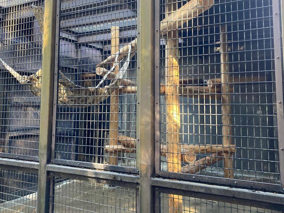 寝室も! リニューアルしました‼4.jpg