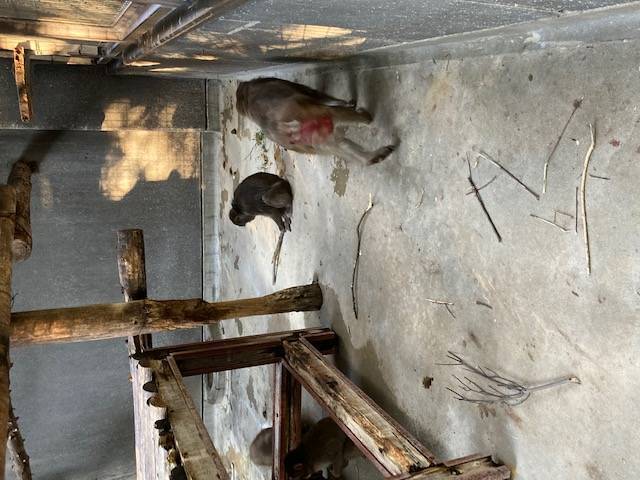 寝室も! リニューアルしました‼1.jpg