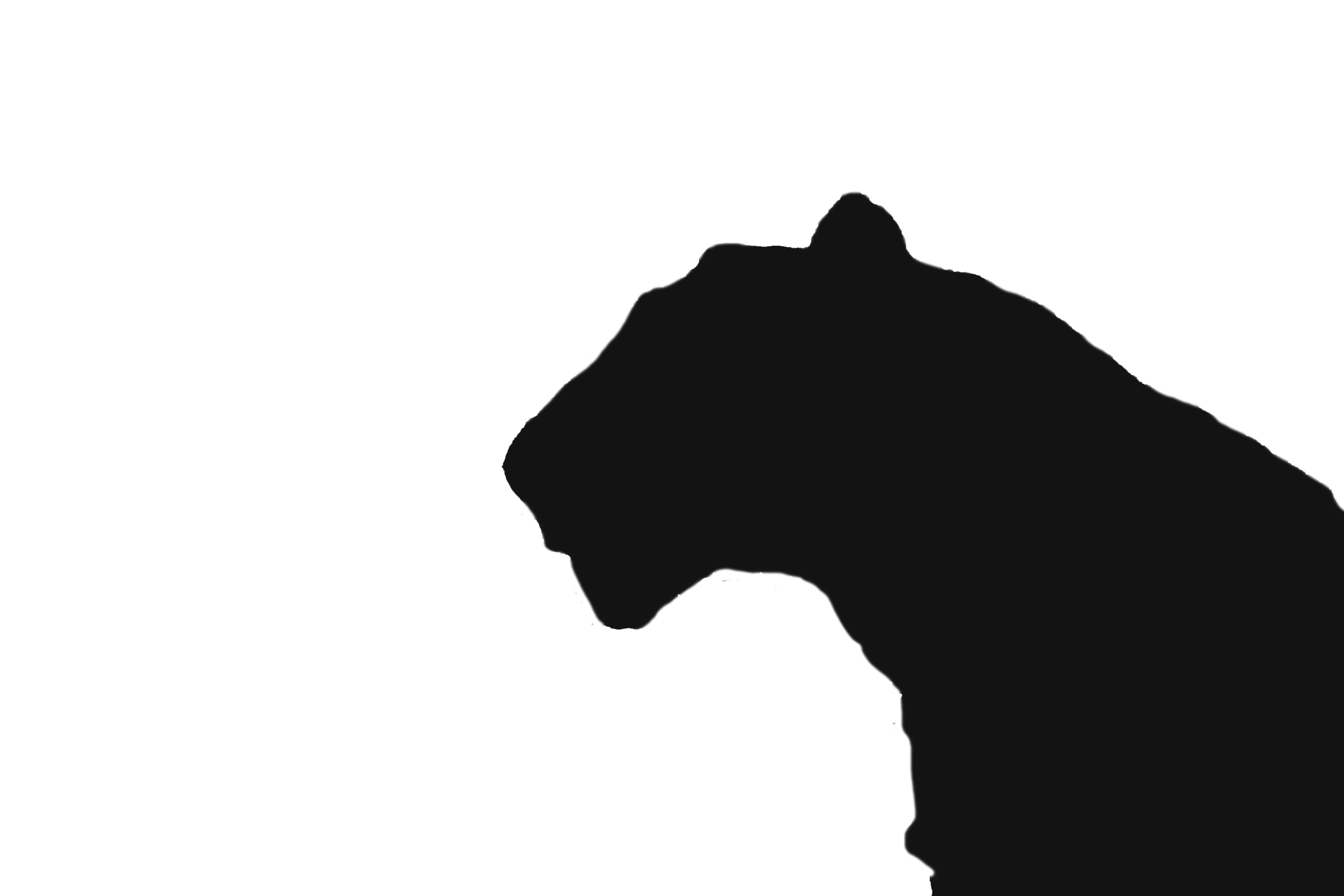 DSC_4019 のコピー.jpg