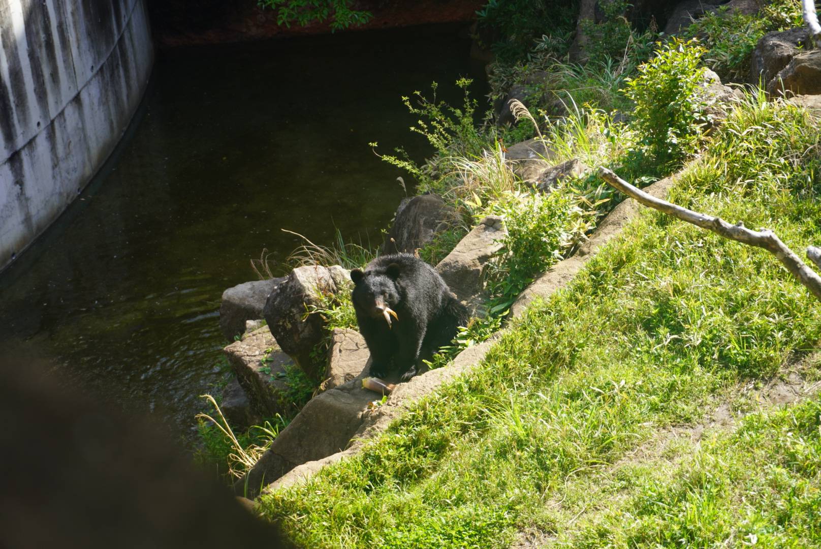 口に皮をくわえる8