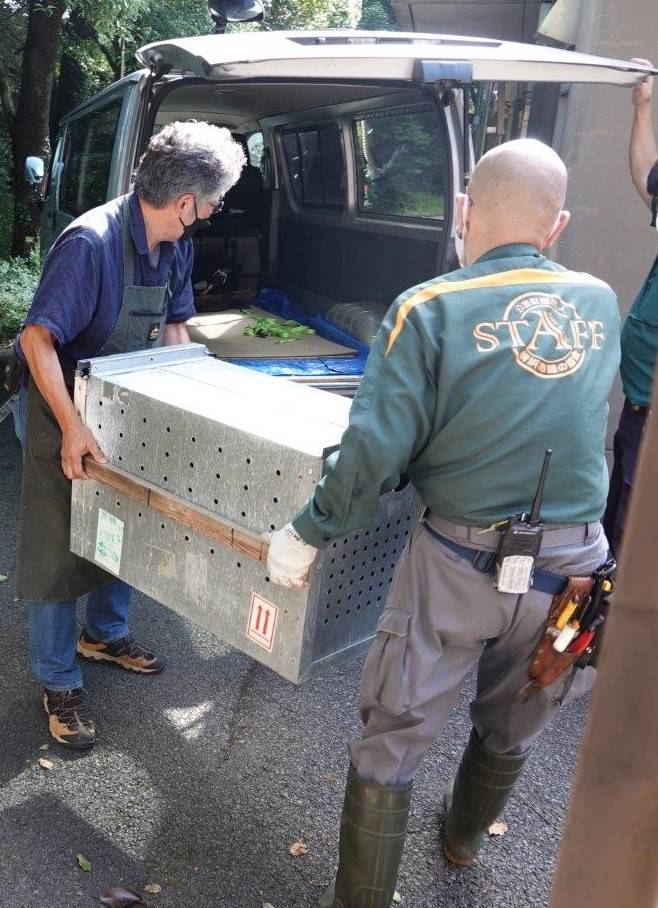 スマイラーが入った輸送箱を車に積み込む