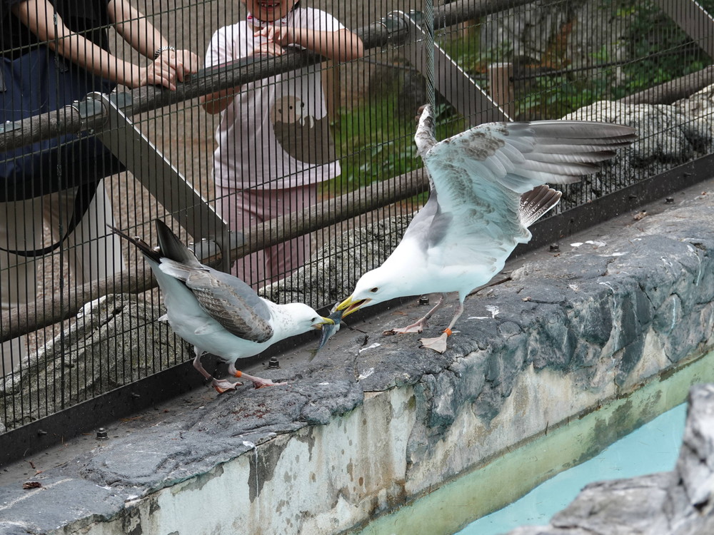 DSC06689.jpg