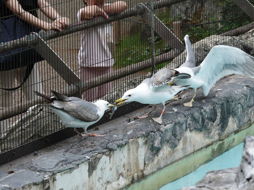 DSC06692.jpg