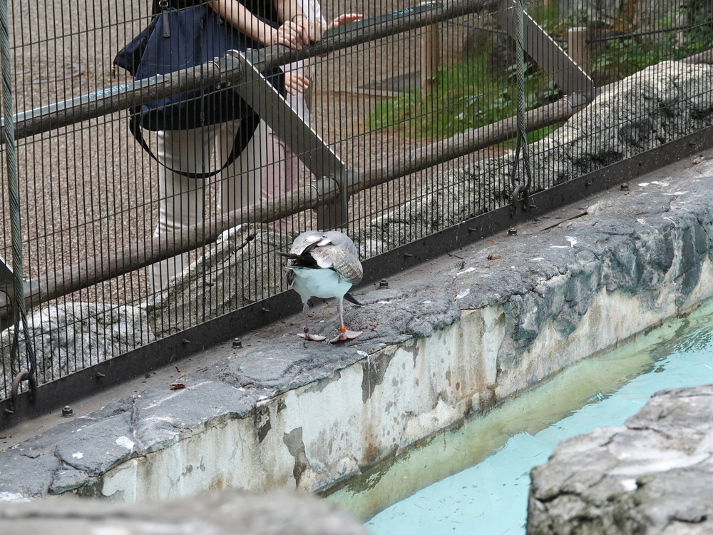 DSC06695.jpg