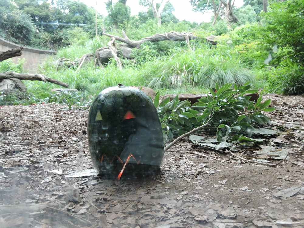 DSCN2214.jpg