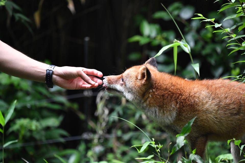 素敵な笑顔をありがとう。|飼育日誌｜ブログ|よこはま動物園