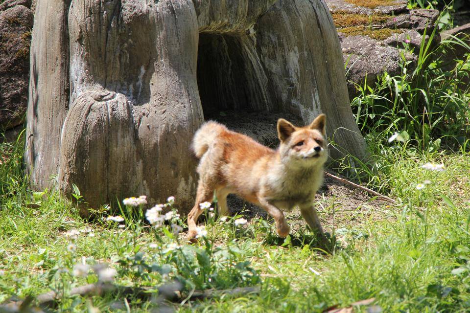 素敵な笑顔をありがとう。|飼育日誌｜ブログ|よこはま動物園