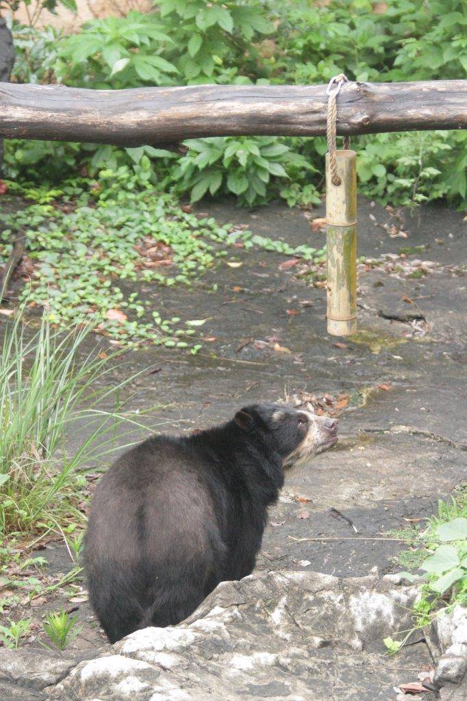 竹筒フィーダーに気付いた美雨