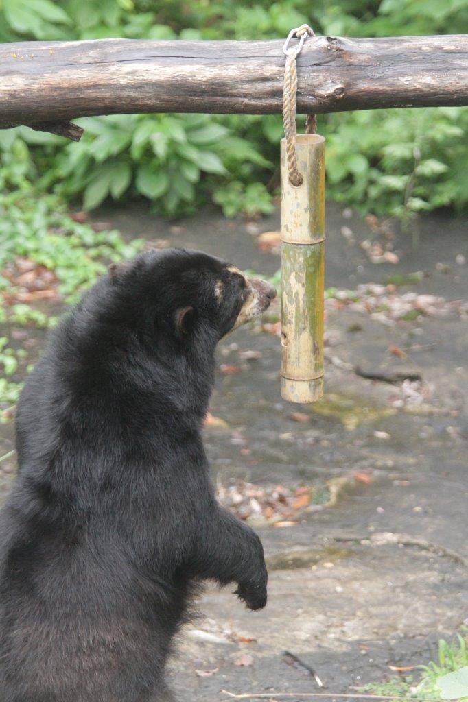 竹筒フィーダーを気にする美雨