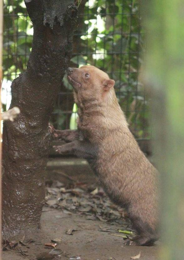 マーキングした場所をチェックするスマイラー