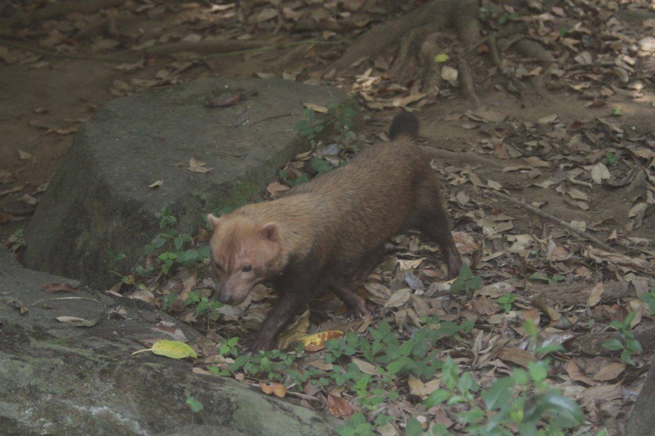 展示場を動き回るカノン①