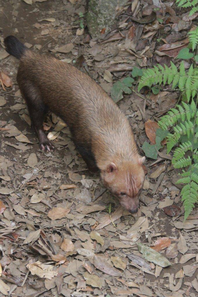 展示場を動き回るカノン②