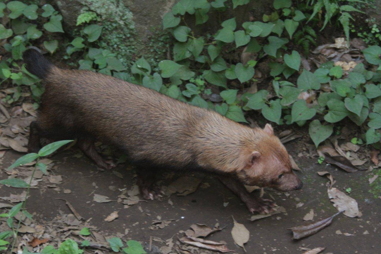 展示場を動き回るカノン③