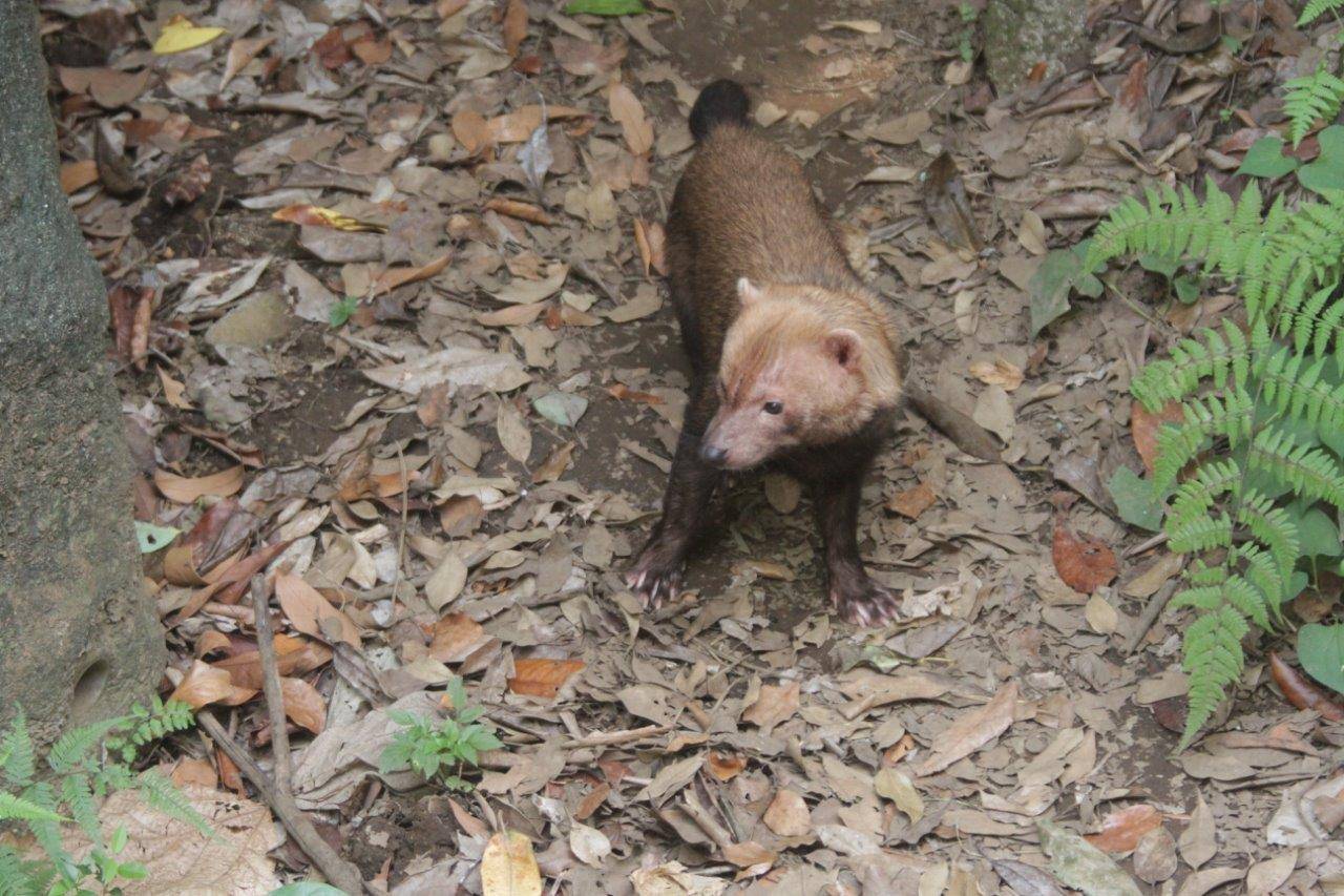 展示場を動き回るカノン④