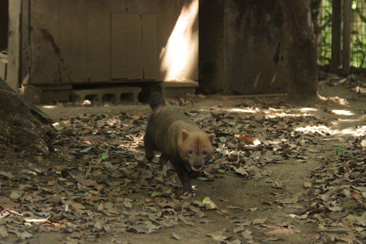 展示場を動き回るカノン⑤