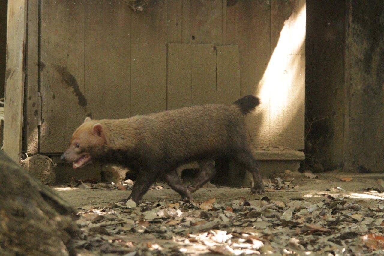 展示場を動き回るカノン⑦