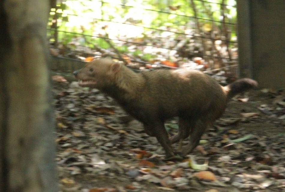 展示場を駆け回るカノン③