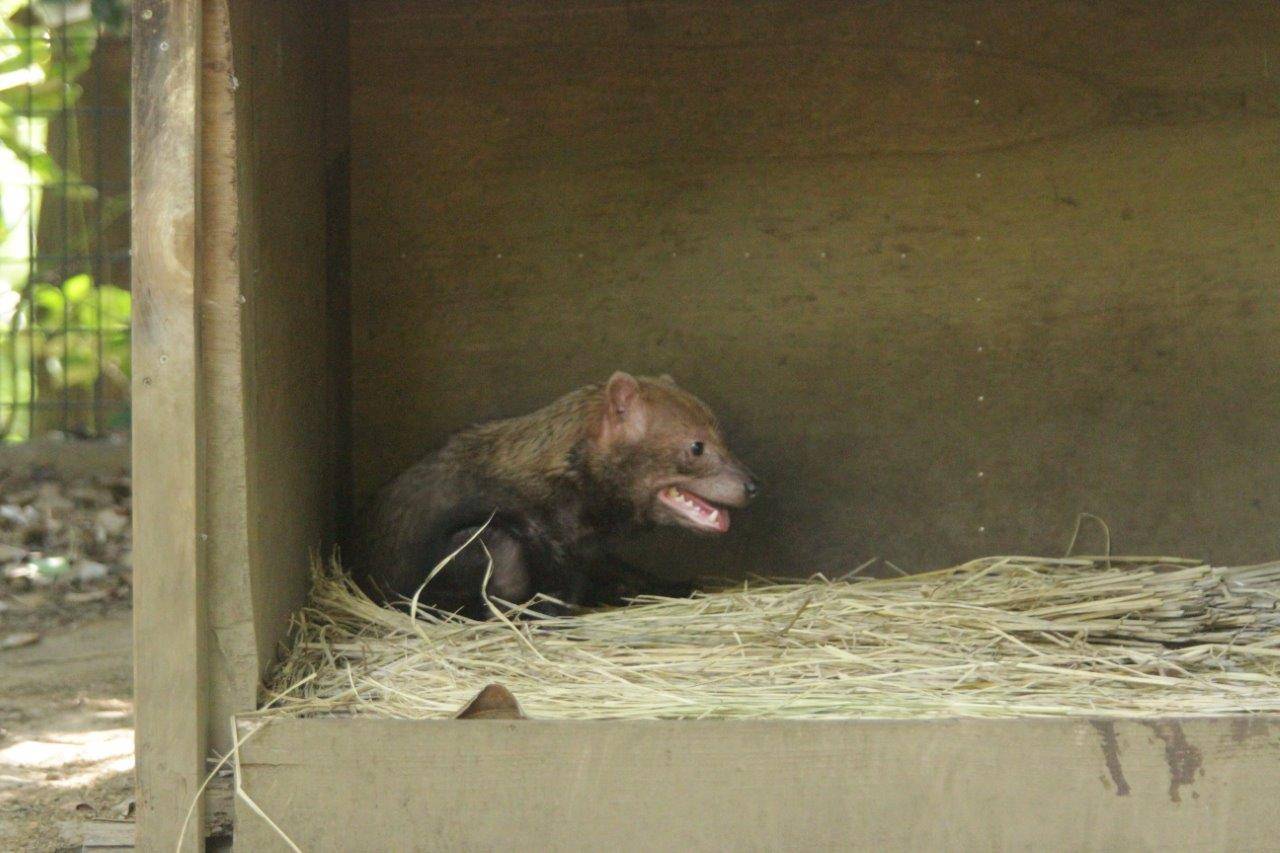 小屋内で休息するカノン