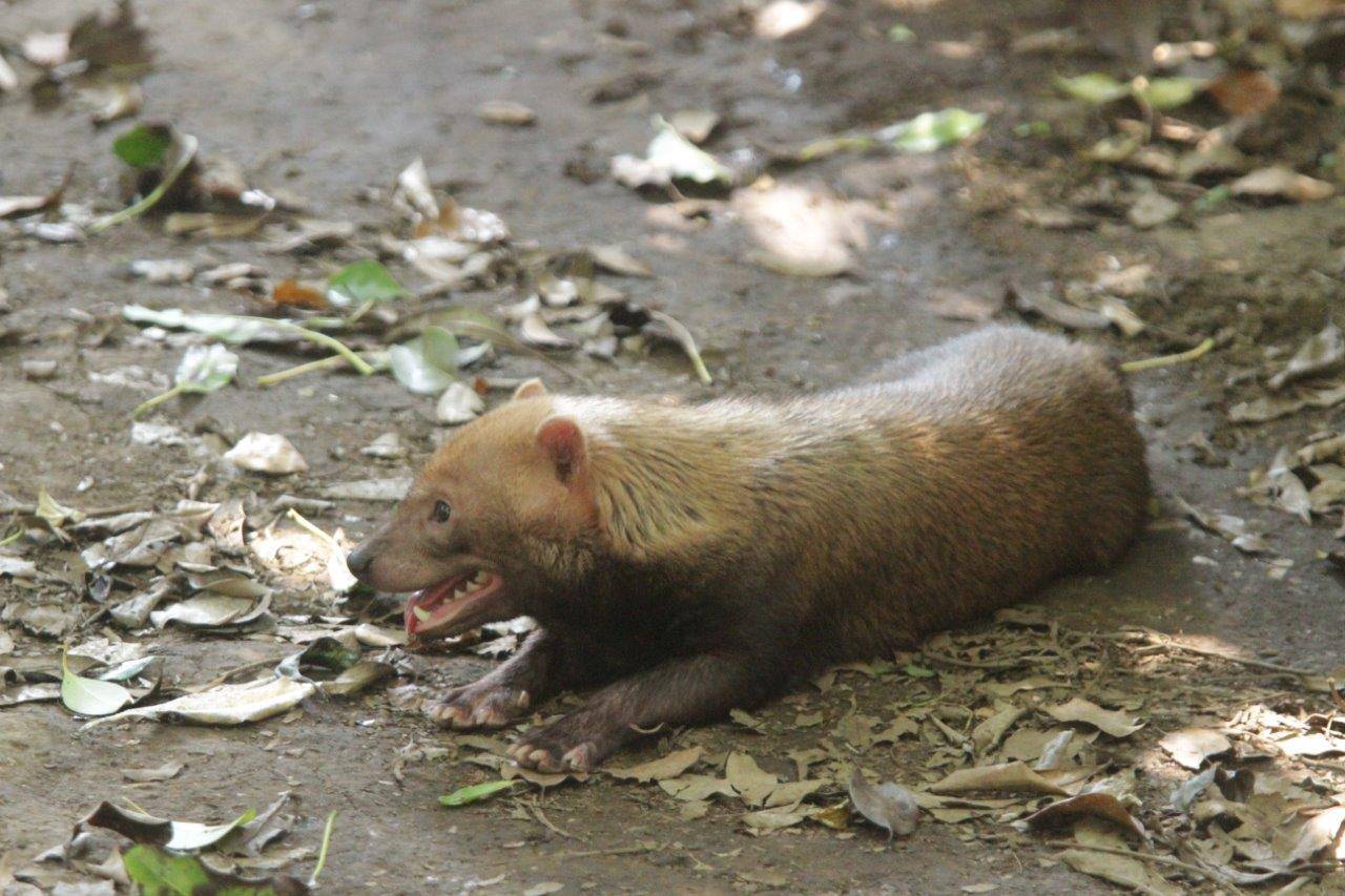 展示場で休息するカノン①