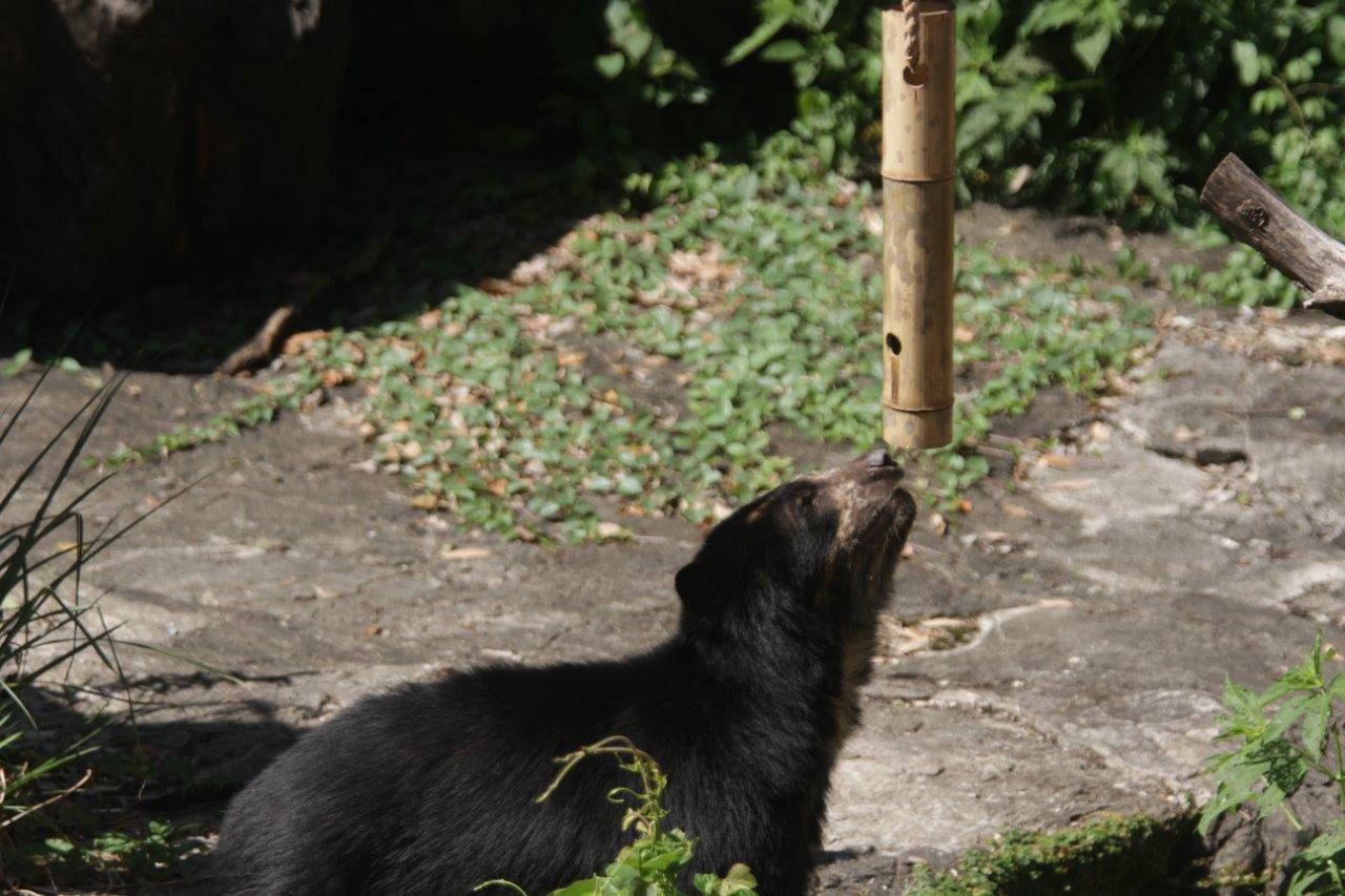 竹筒フィーダーに気付いた美雪