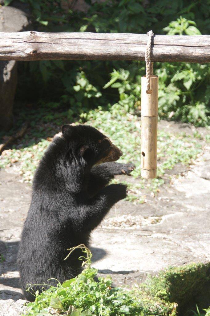 竹筒フィーダーをいじる美雪①