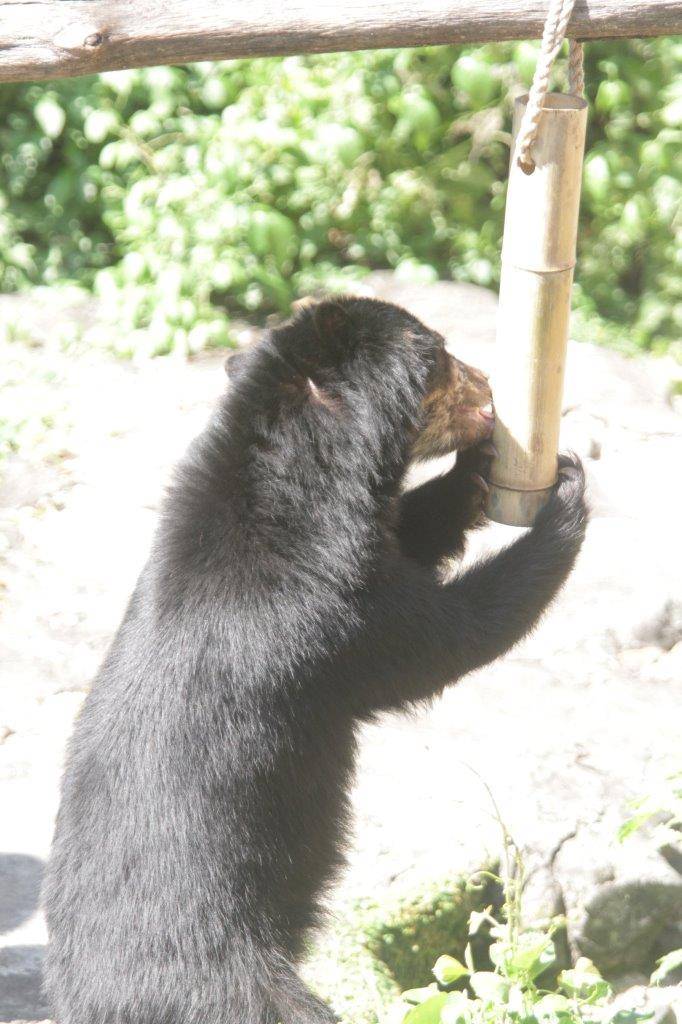 竹筒フィーダーをいじる美雪②