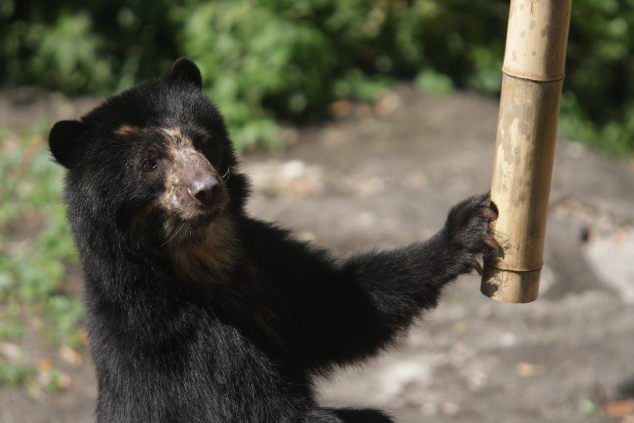 竹筒フィーダーをいじる美雪③