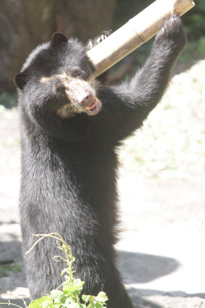 竹筒フィーダーをいじる美雪⑤