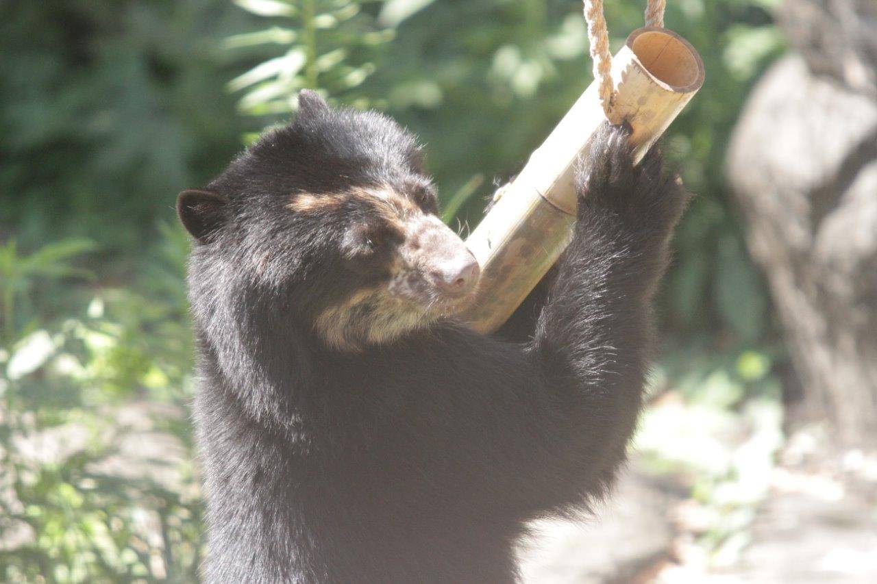 竹筒フィーダーをいじる美雪⑥