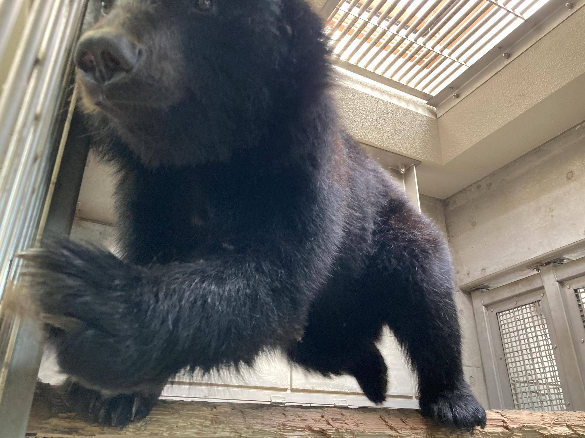台から降りるメリー
