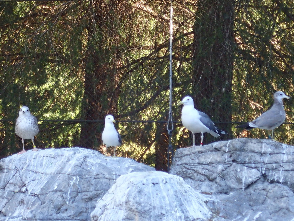 PC281842.jpg