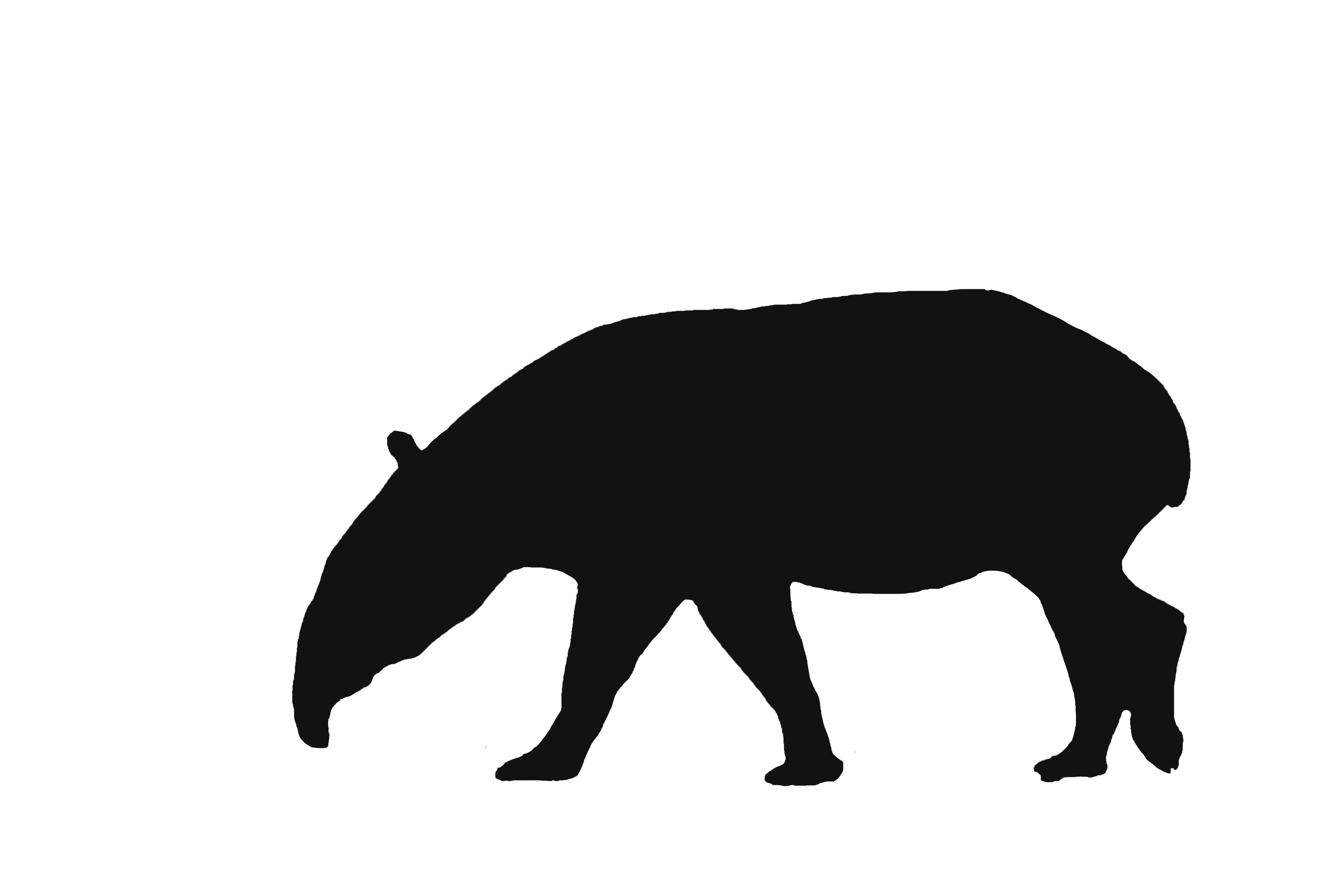 DSC_2680 のコピー.jpg