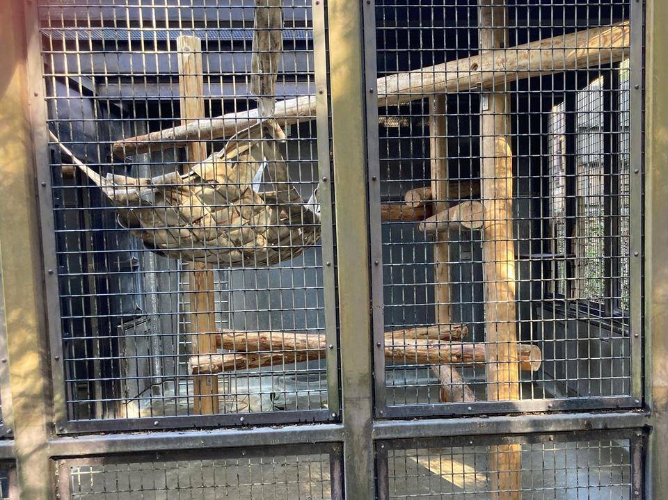 寝室も! リニューアルしました‼3.jpg