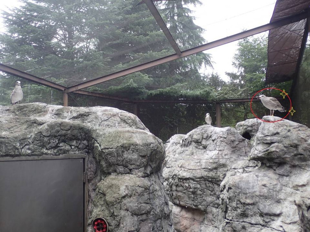 tukau (4) - コピー.jpg