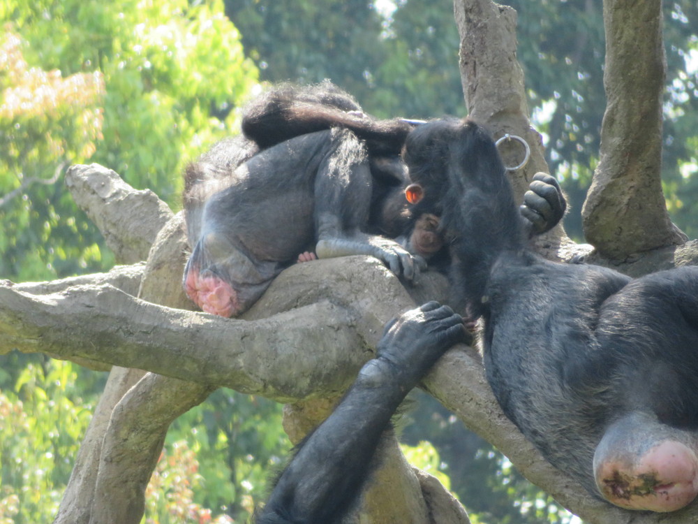 ハル カズヤにタッチ.jpg