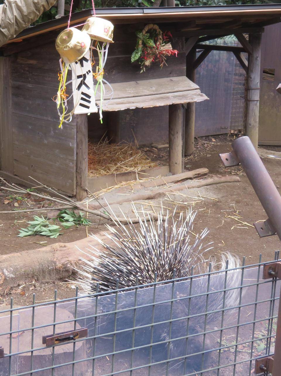 IMG_3128 - コピー.jpg