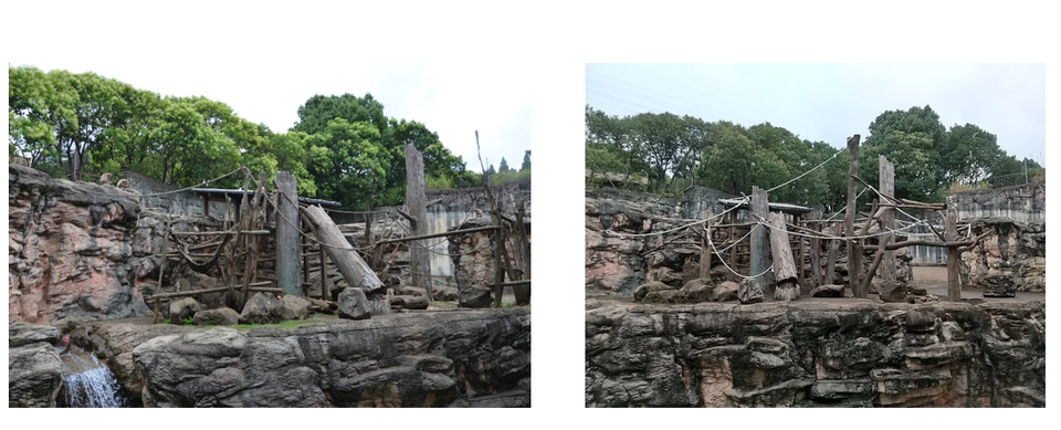 ‼ ニホンザル展示場 リニューアルしました ‼1.png