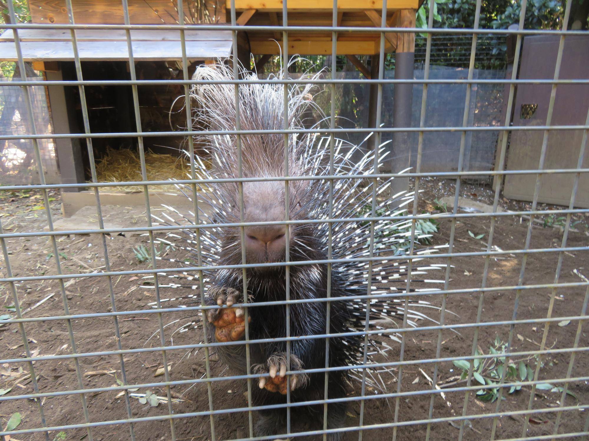 ジューンベリー ④.jpg