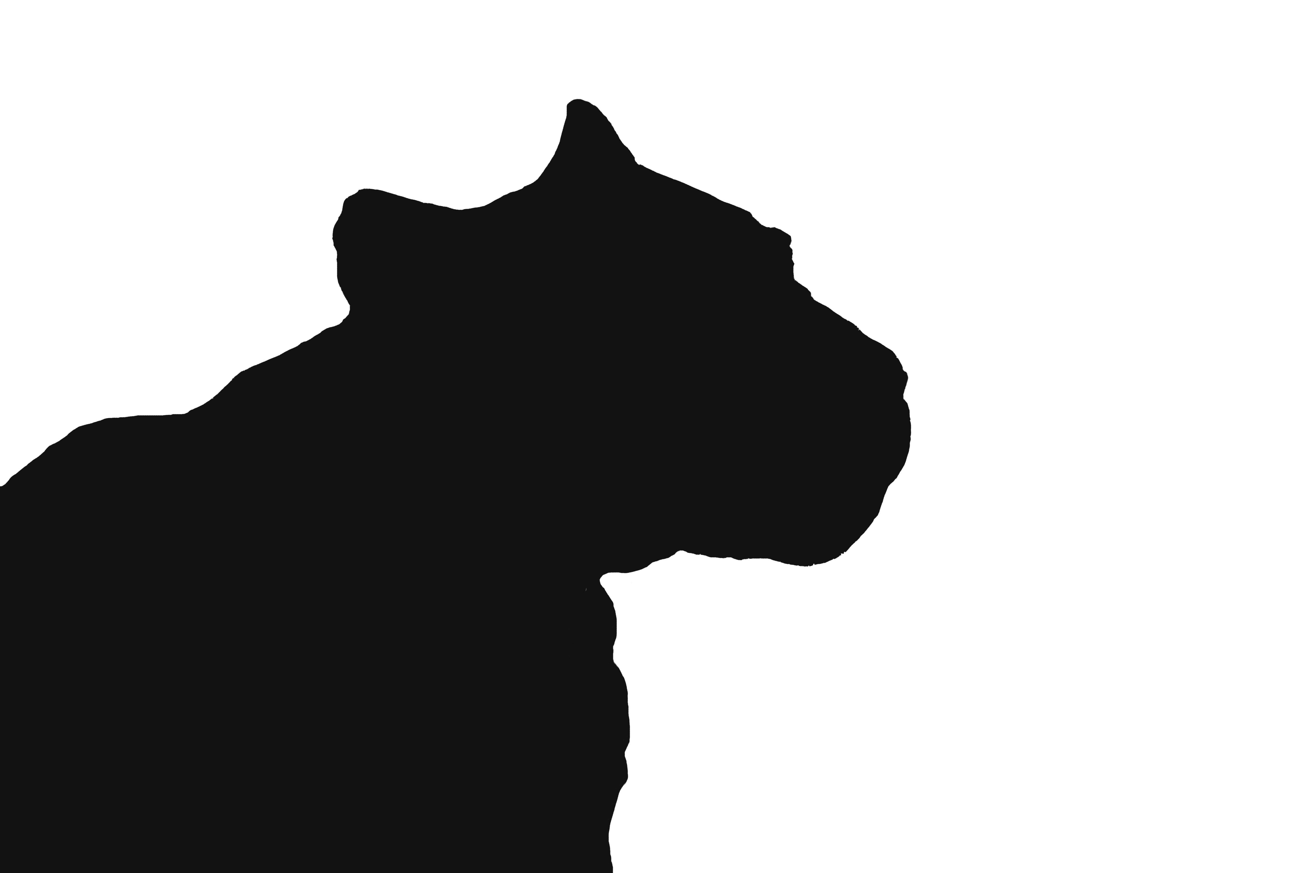 DSC_2995 のコピー.jpg