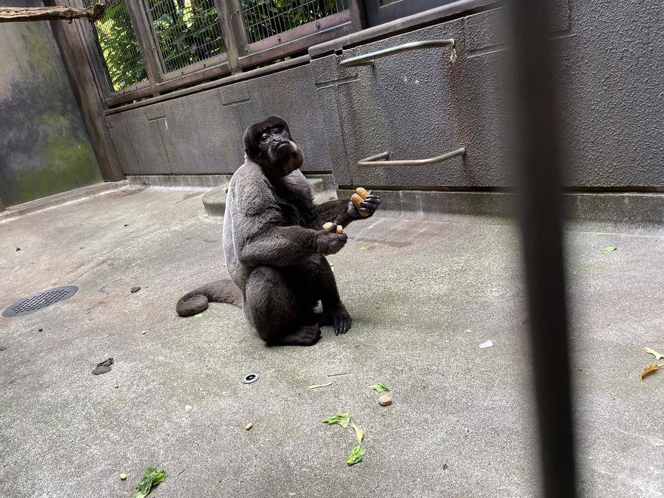 ムッシュjr (2).jpg