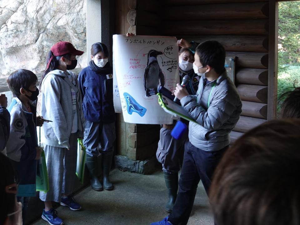 ズーラシアスクール ペンギン・オットセイ.jpg