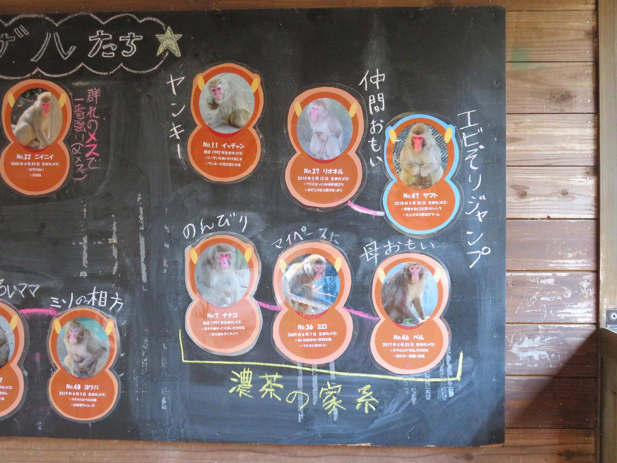 更新後の紹介看板 (3).jpg