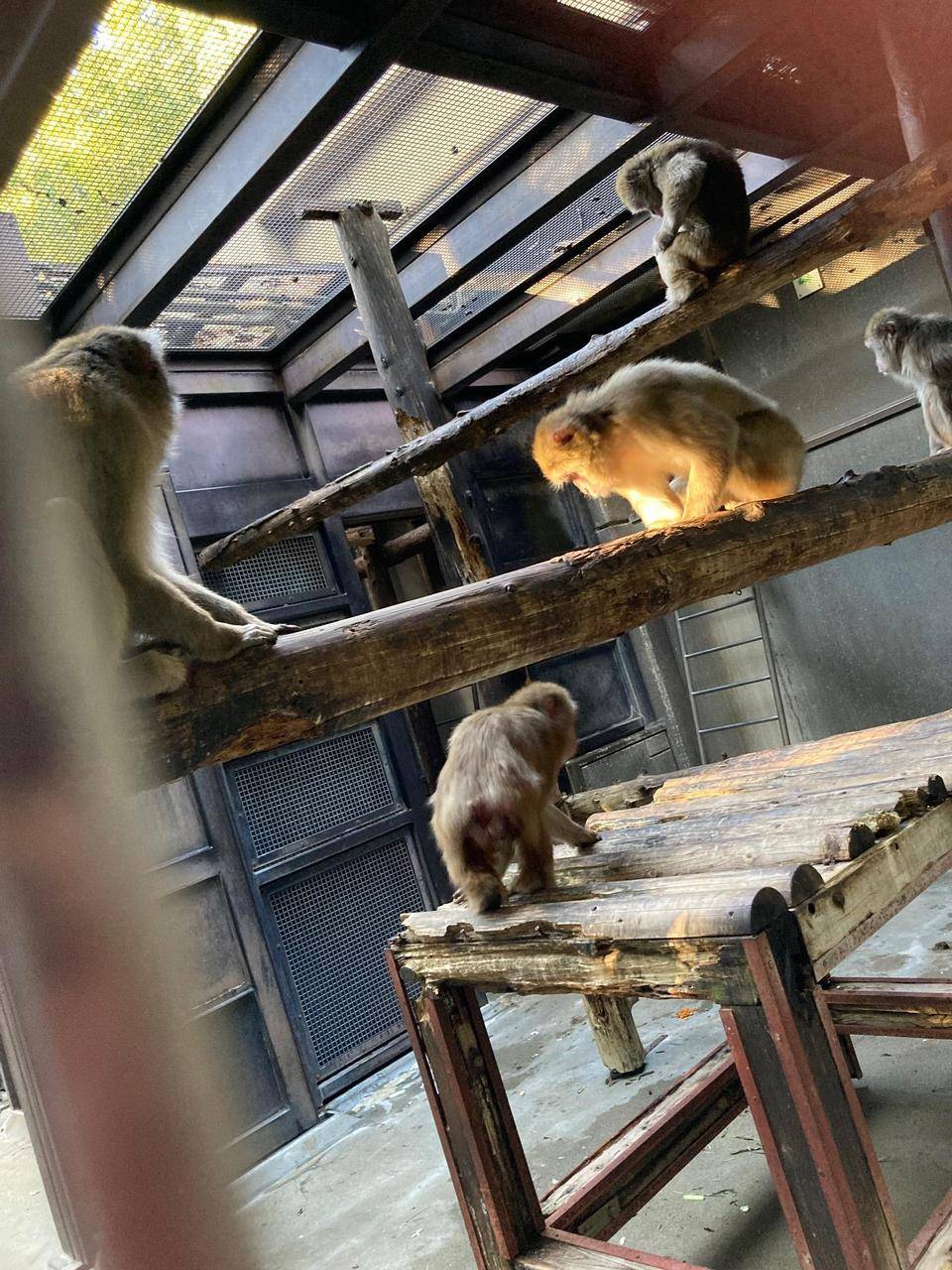 寝室も! リニューアルしました‼2.jpg