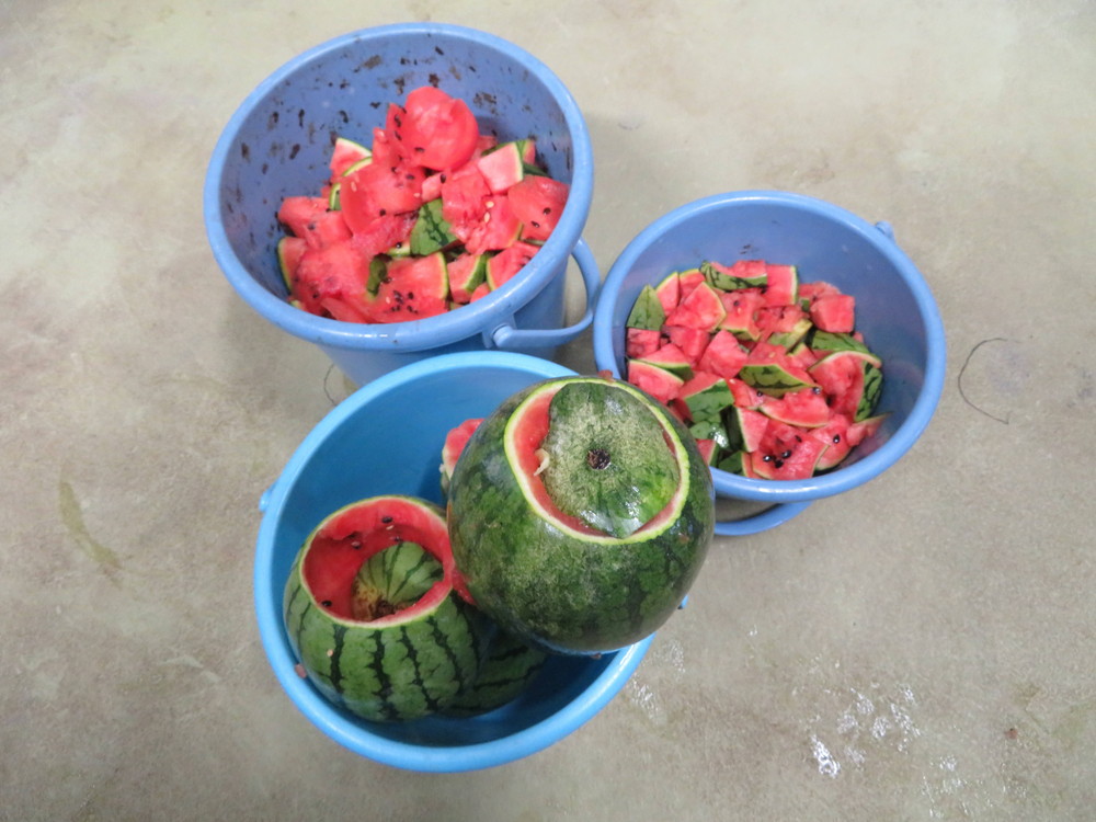 バケツ一杯のすいか２回転.jpg