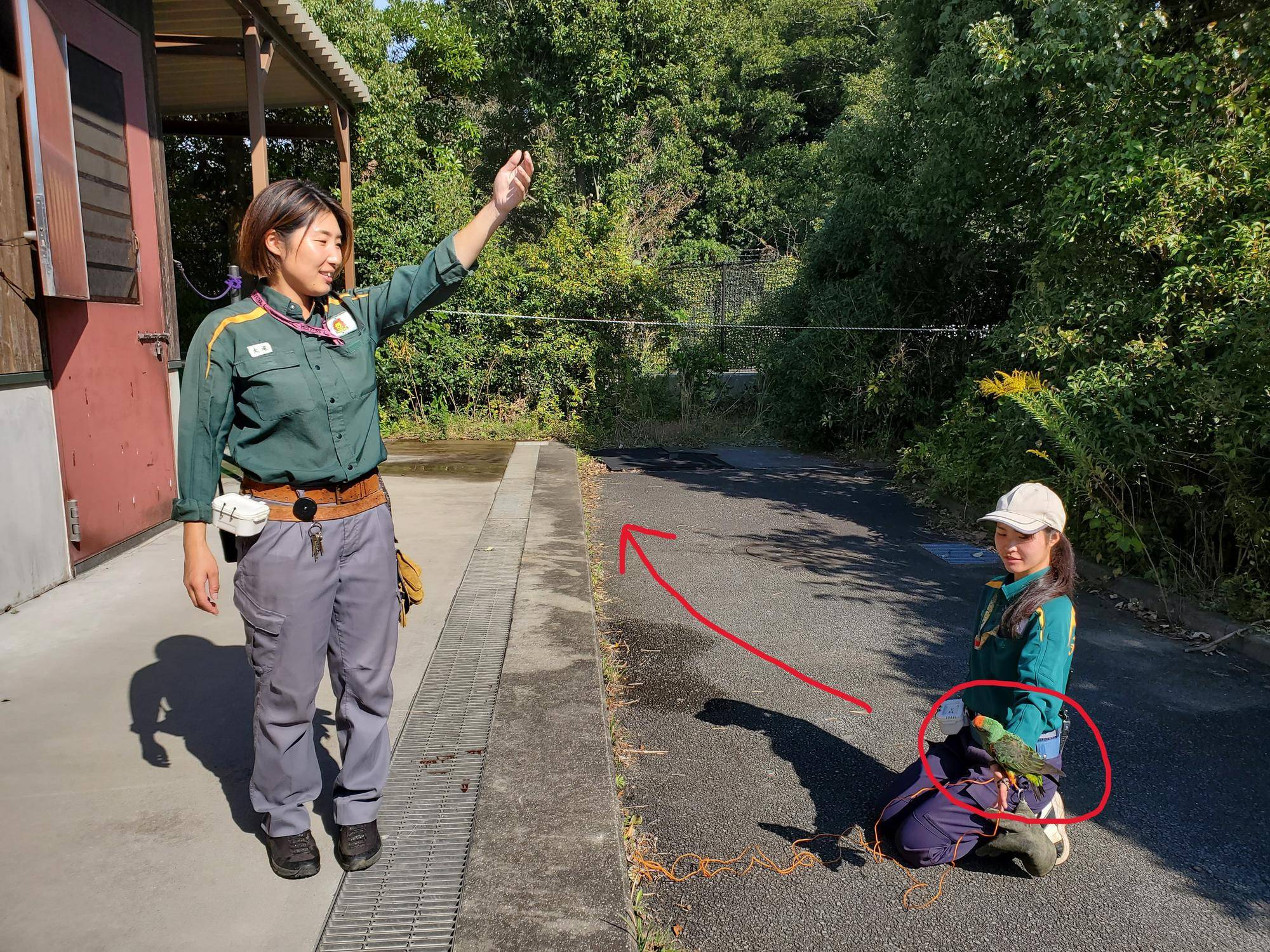 エール　トレーニング