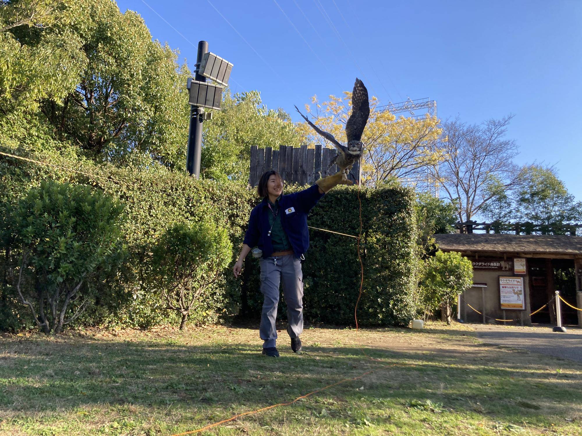 ミミズクフライト②